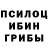 Псилоцибиновые грибы Cubensis EVgeniy Martinov