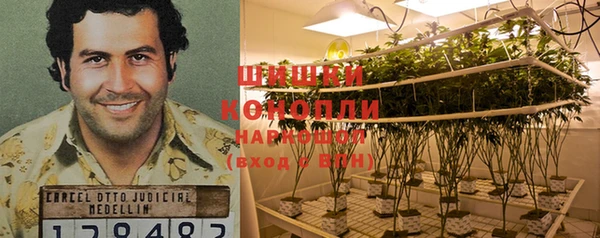 прущие крисы Карпинск